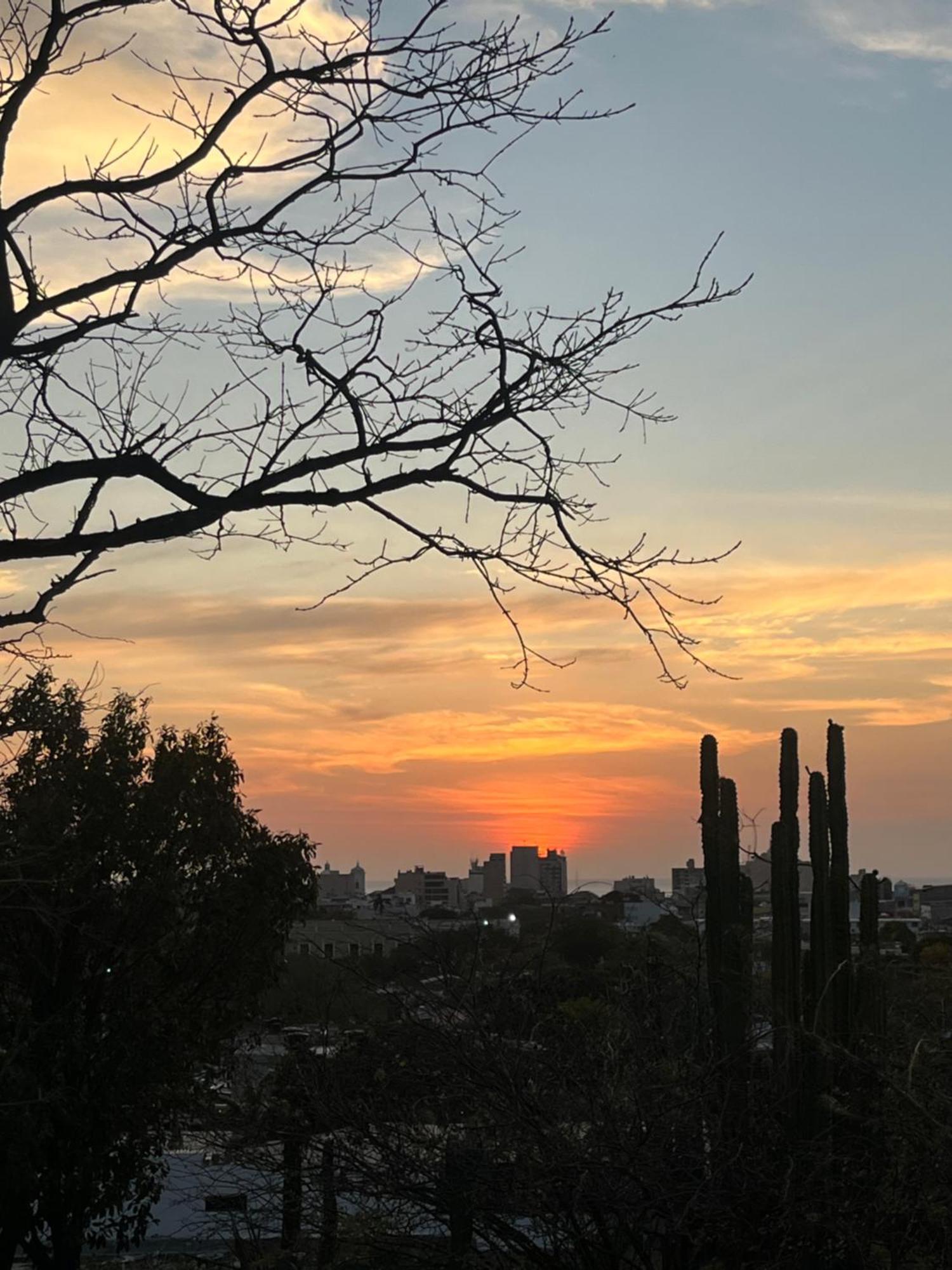 Jardin Etnobotanico Villa Ludovica Santa Marta  Esterno foto