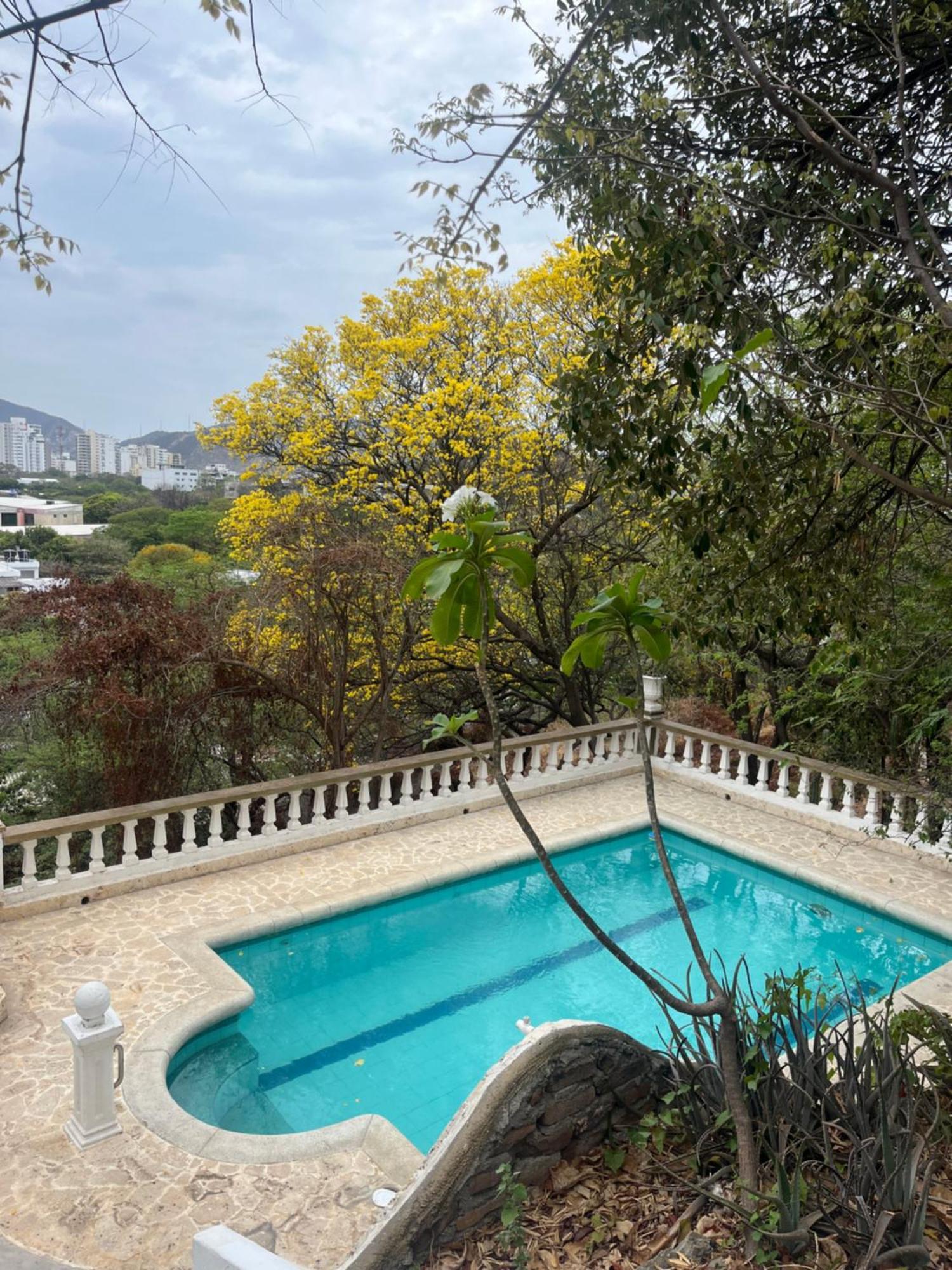Jardin Etnobotanico Villa Ludovica Santa Marta  Esterno foto