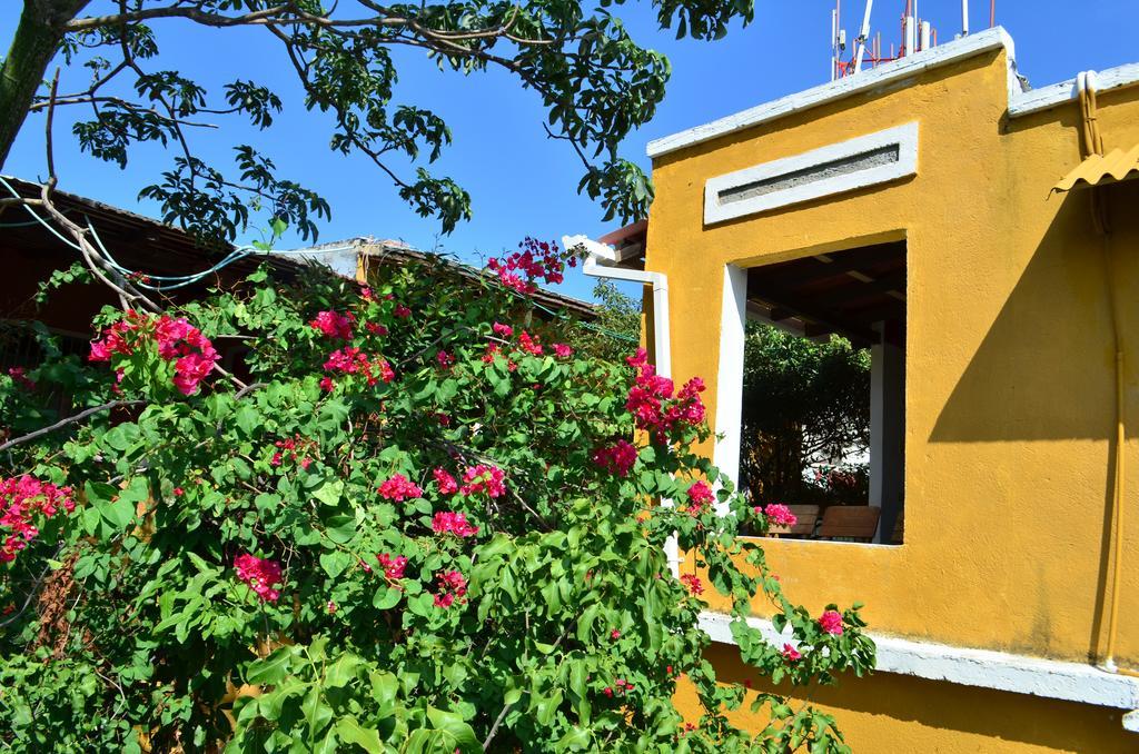 Jardin Etnobotanico Villa Ludovica Santa Marta  Camera foto