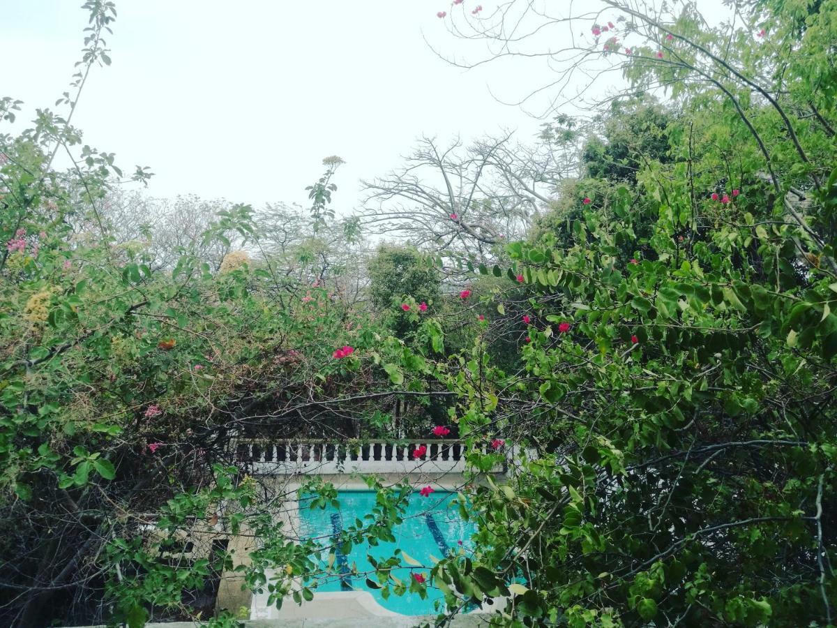 Jardin Etnobotanico Villa Ludovica Santa Marta  Esterno foto
