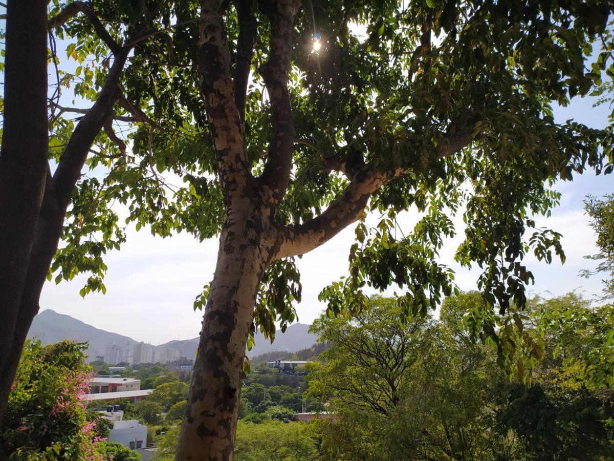 Jardin Etnobotanico Villa Ludovica Santa Marta  Esterno foto