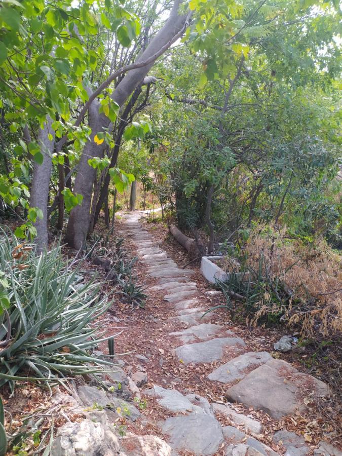 Jardin Etnobotanico Villa Ludovica Santa Marta  Esterno foto